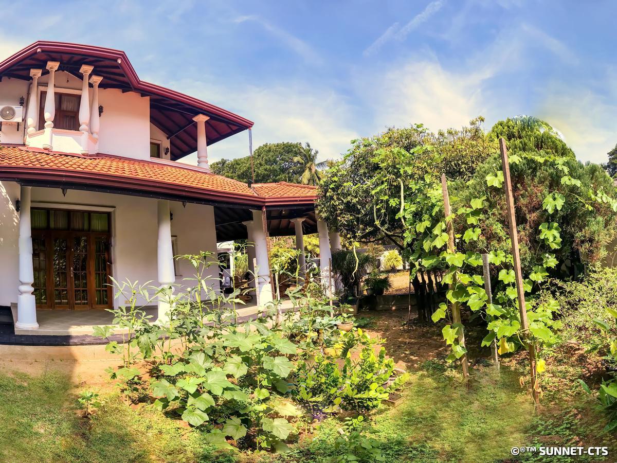 Ceylon Pearlwing Resort เนกอมโบ ภายนอก รูปภาพ